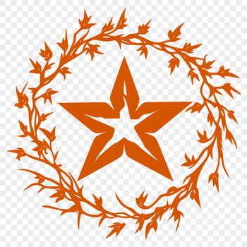A stylized star graphic symbol for Christmas or Xmas decorations.
