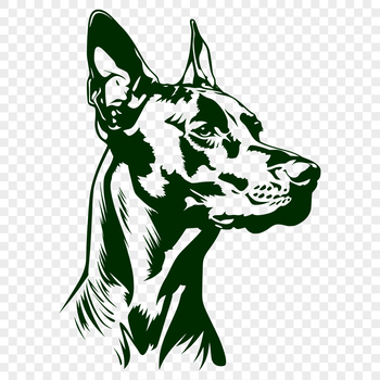 A detailed illustration of a Doberman Pinscher's head, suitable for vector art and cutting machine projects.