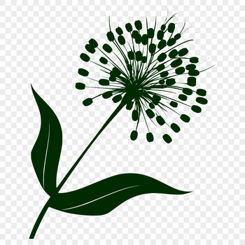 An illustration of a single wild flower with intricate details, suitable for digital crafting and design projects.