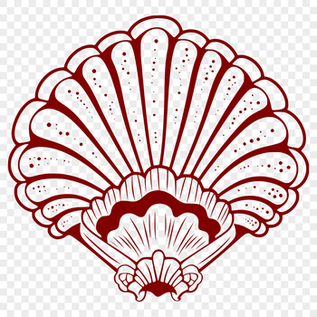A stylized illustration of a seashell, ideal for vector designs and crafts.