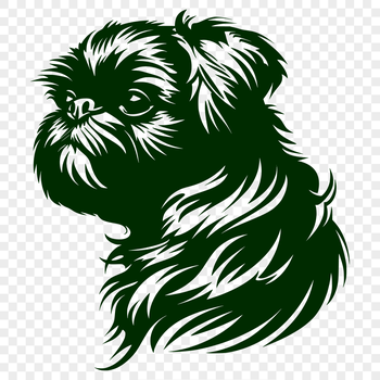 A close-up illustration of a Shih Tzu's head with distinct facial features.