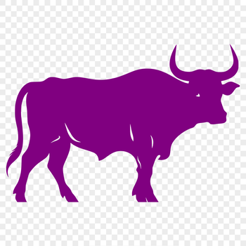 A detailed SVG drawing of a cow, ideal for use in graphic design software like Illustrator or Procreate.