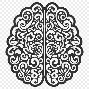An intricately detailed illustration of the human brain's anatomy, suitable for vector art designs.