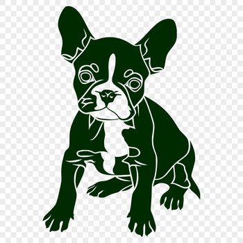 A detailed illustration of a sitting dog breed with a distinctive appearance.
