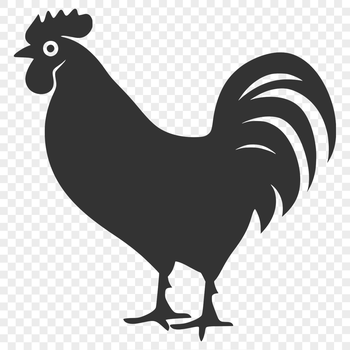 A detailed illustration of a full body chicken, suitable for design and crafting projects.