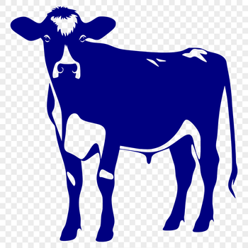 A detailed illustration of a cow from the front, showcasing its facial features and body shape.