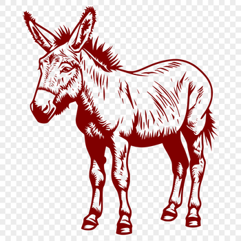 A detailed illustration of a standing donkey from various angles.
