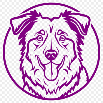 Close-up illustration of a male Australian Shepherd's head with distinct facial features.