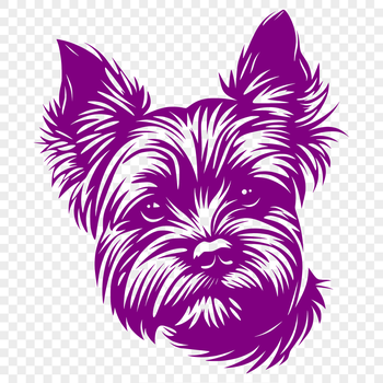 A small dog breed with a distinctive head shape and coat pattern.