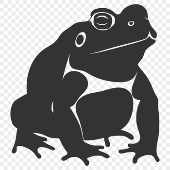 A full body illustration of a toad in vector format.