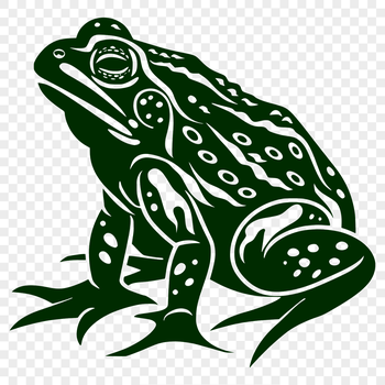 A detailed illustration of a toad's full body, created as a vector graphic.