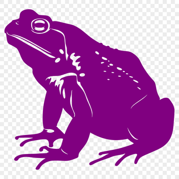 A detailed illustration of a full-body toad in digital format.