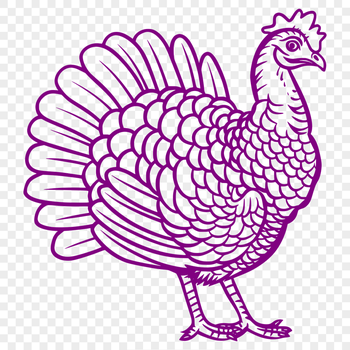 Stunning Turkey Vector Art