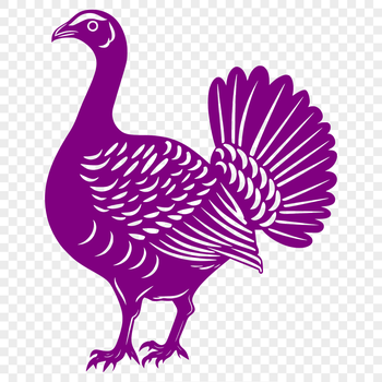 A detailed illustration of a farm animal commonly raised for meat, often associated with Christmas celebrations.