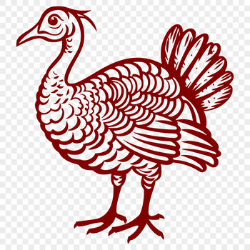 A full-body illustration of a domesticated turkey, suitable for various designs.