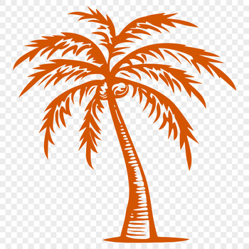 A single palm tree with a trunk and leaves, suitable for vector design projects.