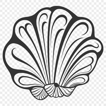 A stylized illustration of a seashell with intricate details.