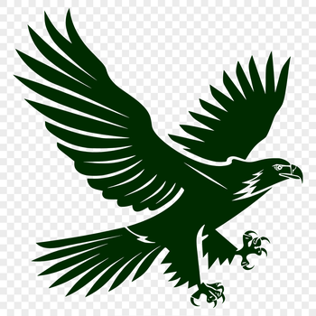 A detailed illustration of a soaring eagle in mid-flight.