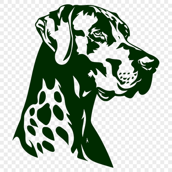 A large breed dog with a distinctive head and gentle expression.