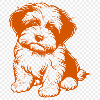 Stunning Havanese Template