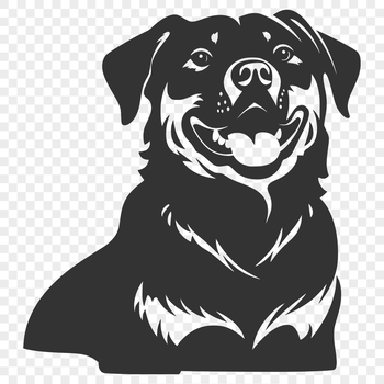 A detailed illustration of a Rottweiler breed dog in vector format.