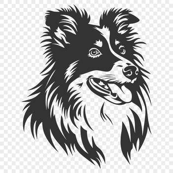 A breed of small herding dog with a fluffy coat and wedge-shaped head.