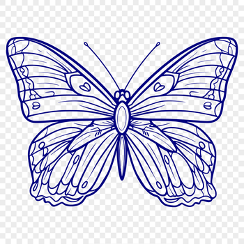 A colorful butterfly with intricate wings, depicted in vector format.