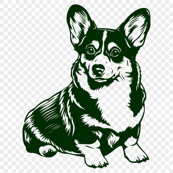 A full-body illustration of a Welsh Corgi in a sitting position, suitable for use as vector art or clip art.