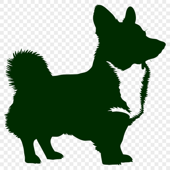 A full-body illustration of a standing Welsh Corgi dog, suitable for various digital designs.
