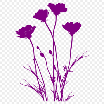 A delicate illustration of a single wild flower in bloom, suitable for vector design projects.
