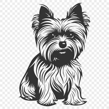 Unique Yorkshire Terrier Digital Drawing