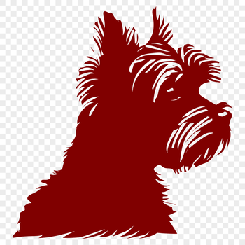 A small breed dog with a compact head and short legs.