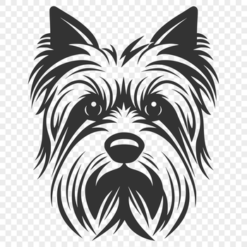 A close-up illustration of a Yorkshire Terrier's head, featuring the breed's distinctive features.