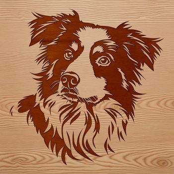A high-quality illustration of a dog's head with distinctive markings, representing the breed's characteristics.