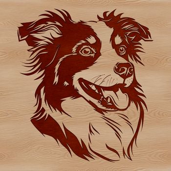 A stylized illustration of a dog with distinctive markings and coloring typical of the Australian Shepherd breed.