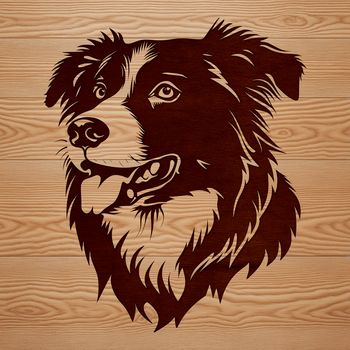 A portrait illustration of a breed-specific Australian Shepherd dog's head with vector lines.