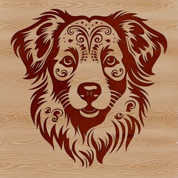 A portrait illustration of a medium-sized Australian Shepherd dog with a distinctive head shape and coat pattern.