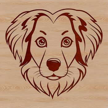 A portrait of a medium-sized dog with a distinctive coat pattern, representing the breed known as the Australian Shepherd.