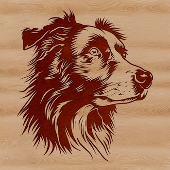 High-resolution SVG image of a head-on portrait of a typical Australian Shepherd dog.