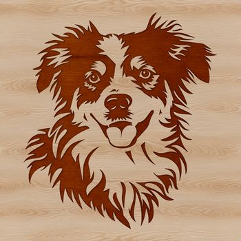 A depiction of a medium-sized Australian Shepherd dog with a robust head and intelligent expression.