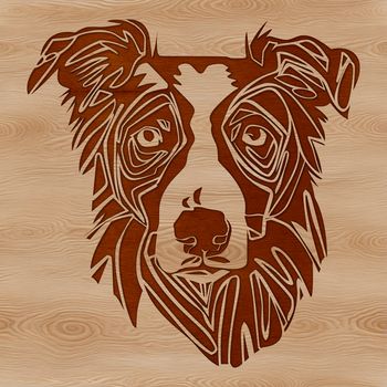 A high-quality digital illustration of a Australian Shepherd dog's head, created as a vector graphic.
