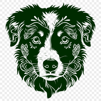 Portrait of a Australian Shepherd as a digital clip art graphic.