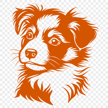 Illustration of a breed-specific Australian Shepherd dog with its characteristic head features.
