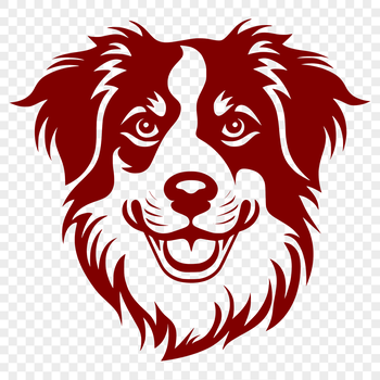 A portrait of a medium-sized Australian Shepherd dog with a distinctive head shape.