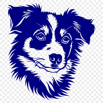 A portrait of a friendly Australian Shepherd dog with a distinctive head shape.