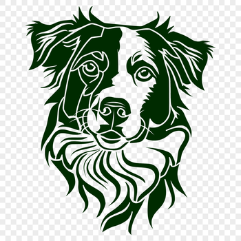 A high-quality illustration of a Australian Shepherd dog's head with detailed features.