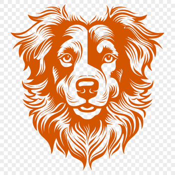 Australian Shepherd dog breed illustration, vector graphic design.
