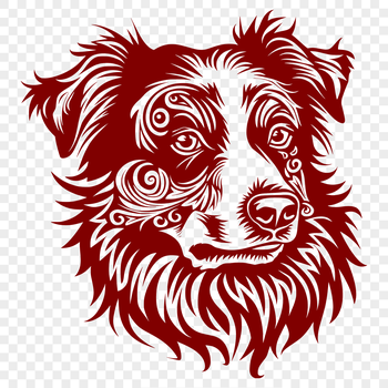 A portrait of a medium-sized dog with a distinctive coat pattern and expressive face.