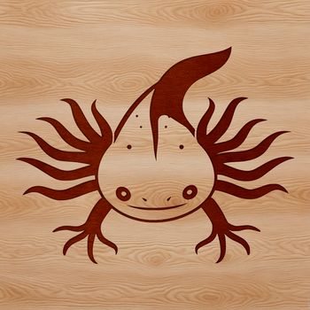 A digital illustration of a Mexican salamander, the axolotl, in profile.