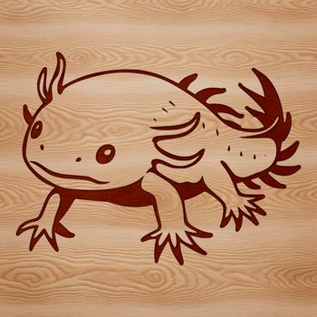 A vector illustration of a salamander with feathery gills and a round head, depicted in detail.